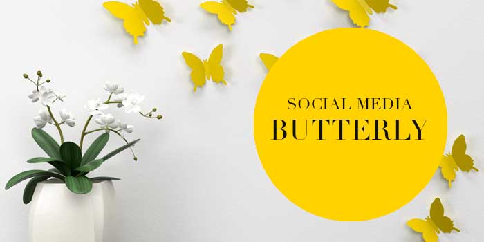 Liz Hall Design - social media butterfly